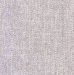 4717- Fossil Debden Plain